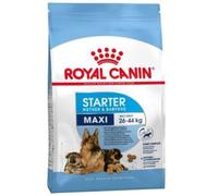 Royal Canin Maxi Starter Poultry Rice 15kg Dog Food Multicolor 15kg