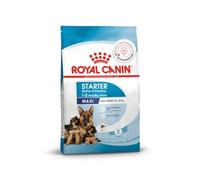 Royal Canin Maxi Starter Mother and Babydog 4 kg | Supports Natural Defence, Digestion, Gestation And Lactation, With Easy Rehydration