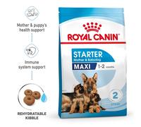Royal Canin Maxi Starter Poultry Rice 15kg Dog Food Multicolor 15kg