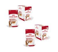 Royal Canin Medium Ageing 10+ | Double Pack | 2 x 10 x 140 g | Wet food for medium-sized dogs (11 to 25 kg) | From the age of 10 | To support healthy ageing