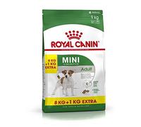Royal Canin Mini Adult Dog Food, 8 + 1 kg, Pack of 1 (1 x 9 kg)