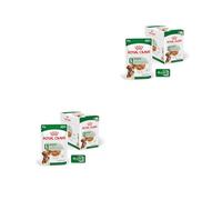 Royal Canin Mini Adult in Sauce | Double pack | 2 x 12 x 85 g | Wet food for small, adult dogs (1 to 10 kg) | From 10 months to 12 years | Adjusted energy content
