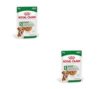 no pork ROYAL CANIN Mini Ageing 12+ 12x85g
