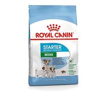 Royal Canin Mini Starter Mother and Babydog 1 kg