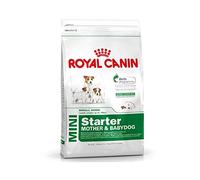 Royal Canin Mini Starter Mother & Babydog 4kg