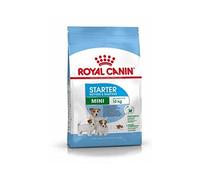 Royal Canin Mini Starter Mother & Babydog 4kg