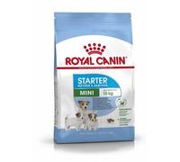 Royal Canin Mini Starter Mother & Babydog Puppy Small Breed Dry Dog Food 8 kg
