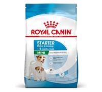Royal Canin Mini Starter Mother & Babydog Dry Food 8kg