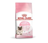ROYAL CANIN® Mother and Babycat Dry Cat and Kitten Food - 2kg