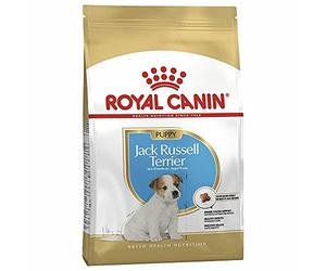 Royal Canin Puppy Food Junior Biscuits for Jack Russell Terrier Puppies Aged 2-10 Months 1.5 kg Bag