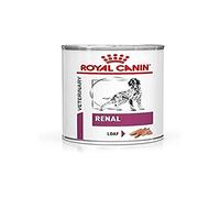 Royal Canin Renal Veterinary Health Nutrition Wet Dog Food 12 x 410g