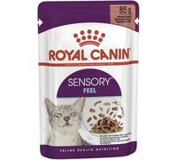 Royal Canin Sensory Feel in Gravy Wet Cat Food for Picky Cats 85g (Pack of 24)