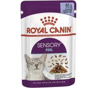 Royal Canin Sensory Feel in Jelly Wet Cat 85g (Pack of 24)