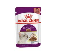Royal Canin Sensory Smell In Gravy Adult Wet Cat Food, 85g