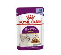 Royal Canin Sensory Smell in Jelly Wet Cat Food 85g (Pack of 48)