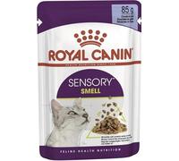 Royal Canin Sensory Smell in Jelly Wet Cat Food 85g (Pack of 24)