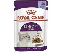 Royal Canin Sensory Smell in Jelly Wet Cat Food 85g (Pack of 48)