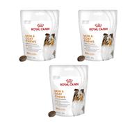 Royal Canin Skin Coat Chews | Pack of 3 | 3 x 240 g | Snacks for Adults Dogs Breeds | In Resealable Bag | Developing with Veterinarians | With Poultry Protein