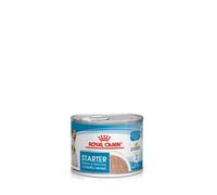 Royal Canin Starter Mousse 195g Wet Dog Food Multicolor