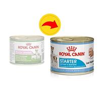 ROYAL CANIN Starter Mousse, Mother & Babydog Dog Food Cans 6 X 195g and Little Gift