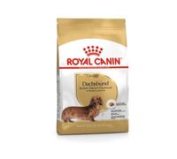 Royal Canin Teckel Adulte 500 GR