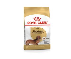 Royal Canin Teckel Adulte 500 GR