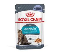 ROYAL CANIN Urinary Care In Jelly Adult Wet Cat Food (Pack of 48)