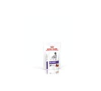 Royal Canin Veterinary Diet Pill Assist Treats for Medium & Large Dogs - 224g