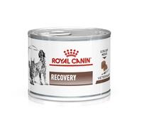 Royal Canin Veterinary Diet Recovery Dog/Cat Food