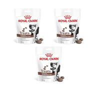 ROYAL CANIN Gastrointestinal Dog Treats - 230g