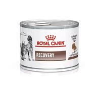 Royal Canin Veterinary Health Nutrition Canine/Feline Recovery Mousse 195g x 12