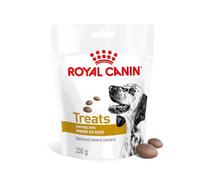 ROYAL CANIN Urinary S/O Dog Treats - 230g