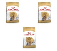 Royal Canin Yorkshire Terrier Adult Dry Food | Pack of 3 | 3 x 500 g | Specially Designed for Adults Yorkshire Terrier | Support of the Body's Defences
