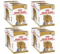 Royal Canin Yorkshire Terrier Adult | Pack of 4 | 4 x 12 x 85 g | Wet food for adult dogs | From the age of 10 months | To support coat and stool quality