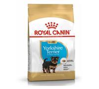 Royal Canin Yorkshire Terrier Puppy Dry Food | 3 Pack | 3 x 500g | Specially Designed for Yorkshire Terrier Puppies up to 10th Month | Support of the Body's Defenses