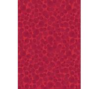 Royal Coronation Lewis & Irene - Quintessentially British Celebration 100% Quality Cotton Poplin Fabric - Sewing Quilting Bunting Dress Fabric - Simply Sew Crafty™ (0.5 Metre, Red Metallic)