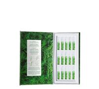 Royal Fern - Phytoactive Illuminating Ampoules - Ampoules