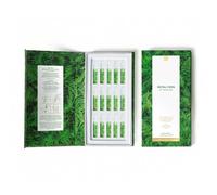 Royal Fern - Phytoactive Illuminating Ampoules - Ampoules