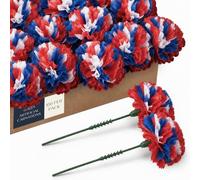 Royal Imports 100 Red/White/Blue Flag Silk Carnations, Artificial Fake Flower For Bouquets, Weddings, Cemetery, Crafts & Wreaths, 5" Stem Pick (Bulk)