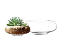 Royal Imports Flower Glass Vase, Bowl Terrarium Succulent Planter, Air Plant Hydroponic Display, Floating Candles Decorative Centerpiece Floral Container for Home or Wedding Set of 2, Clear
