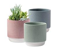 Royal Imports Flower Pot Ceramic Vase, Decorative Planter for Indoor Outdoor Garden Windowsill, Without Drainage Hole, Set of 3, Green, Pink, Grey