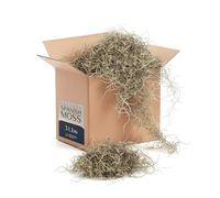 Royal Imports Preserved Natural Spanish Moss, Fresh Dried Shredded Loose Chunks, 3 LB Bulk Case, Natural