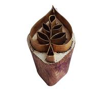Royal Kraft Leaf Brass Wooden Stamps for Block Printing on Clay, Pottery, Fabric Btag146
