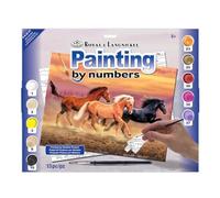 Royal & Langnickel 11 x 15 inch Gone with Wind Pre-Printed Paint by Number Painting Set, Blue