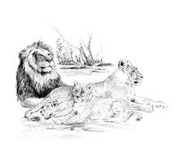 Royal & Langnickel 15" x 11" Lion Pride Pre-Printed Large Sketching Made Easy Drawing Set
