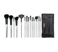 Royal & Langnickel Brush Essentials 15-Piece Cosmetic Brushes