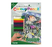 Royal & Langnickel Colour Pencil by Numbers Tropical Fish Designed Painting Set