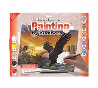 Royal & Langnickel Junior Painting By Numbers Kit - Sky Messenger