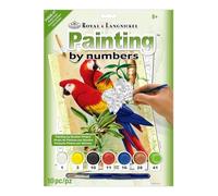 Royal & Langnickel Painting by Numbers A4 Size Bamboo Parrots Designed Painting Set