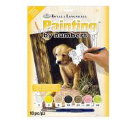 Royal & Langnickel Painting by Numbers A4 Size Labrador Puppy Designed Painting Set